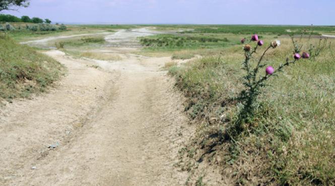 delta terenuri icirc n pericol grindul chituc blocat de predoiu