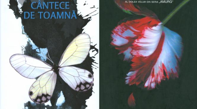 romane cantece de toamna si luna noua