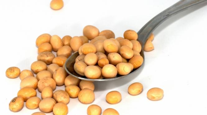 beneficii soia protejeaza neuronii