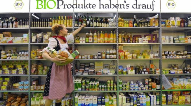 eco fata in fata cu criza