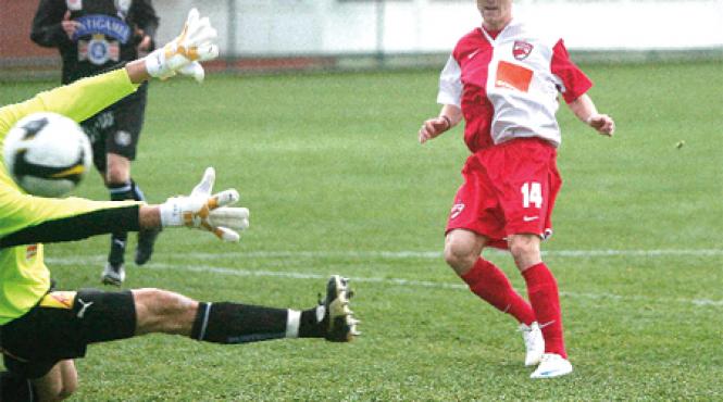 dinamo s au intors mitea si niculescu