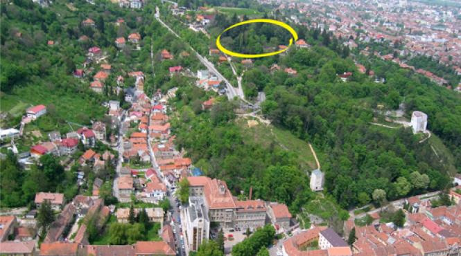 e ceva putred la curtea de apel alba iulia