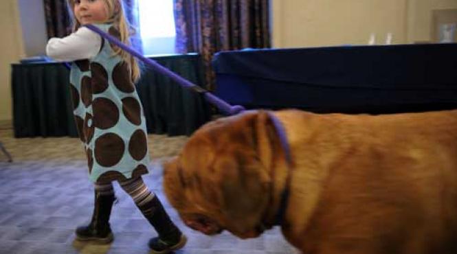 imaginile zilei foto