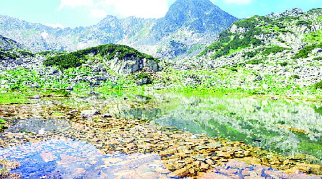 concurs retezatul ramane in cursa minunilor lumii