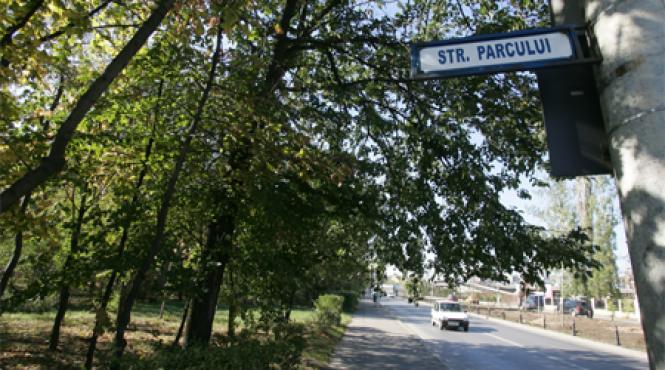 bloc turn fara emotii exces de zel in bdul poligrafiei