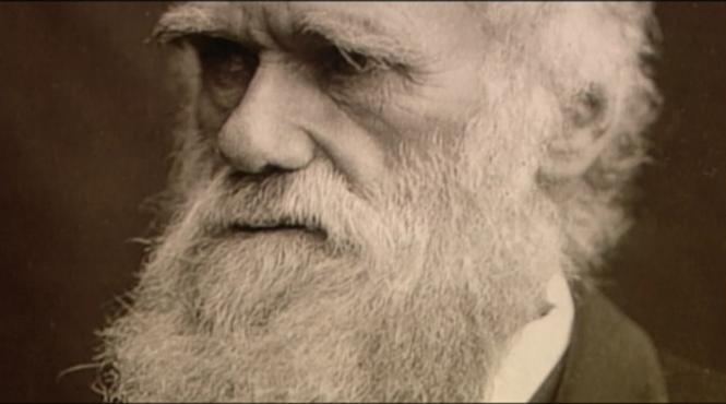 charles darwin ar fi suferit de autism