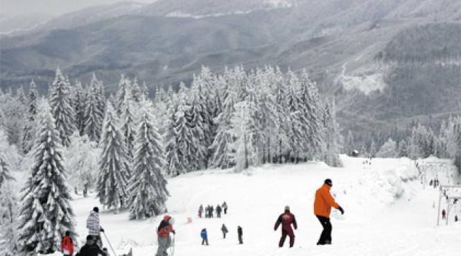 cavnic s a albit tot maramuresul