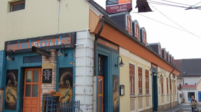 corespondenta din veszprem cazul cozma a fost omor cu premeditare marian ar fi avut un conflict cu niste rromi