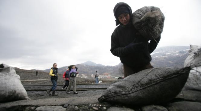 ca icirc n vestul salbatic carbunarii corbi pe hoitul de carbune