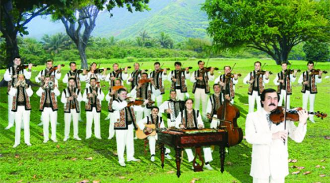 botgros este rau de bun