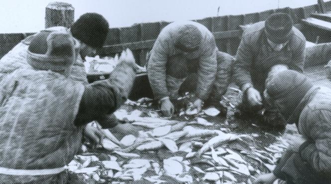 memoria pamantului dobrogea care a fost