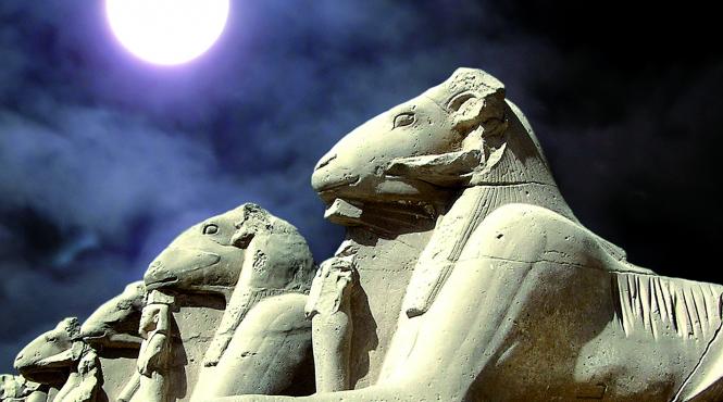 o fata nevazuta a egiptului