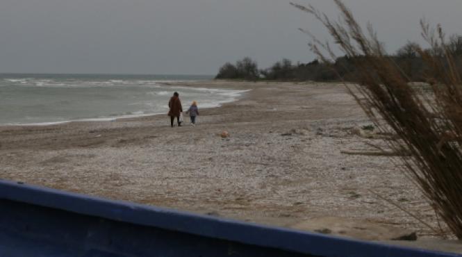 pasti de 40 milioane de e