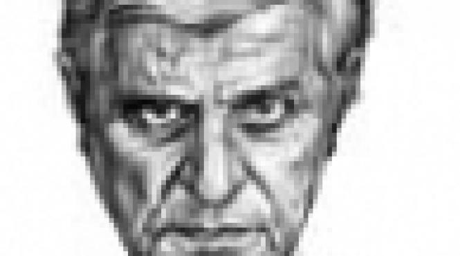 cu dictionarul in fata