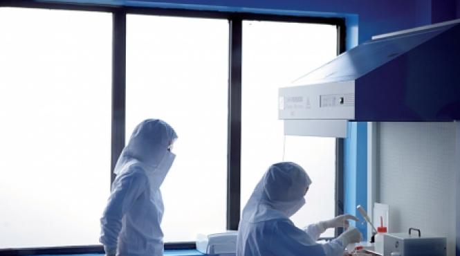 banca de celule stem in bucuresti