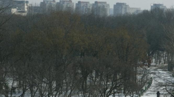 vile de fite cu gazon in parcul tineretului