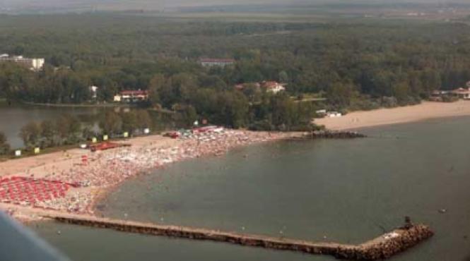 padure unicat distrusa de programe informatice