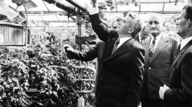 totul la export nimic pentru tara