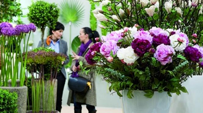 tendinte pentru amenajarile de exterior