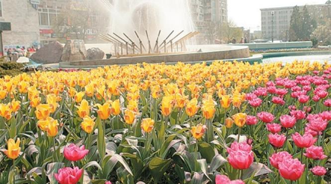 lalelele lui luigi ionescu