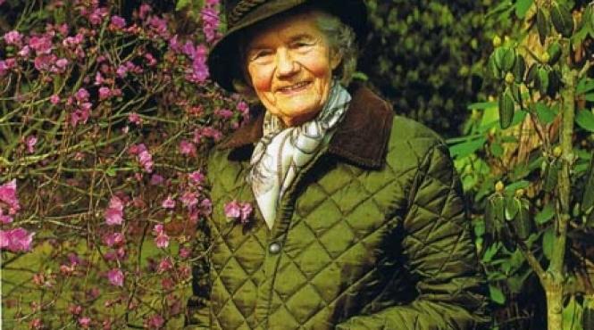 o viata surprinzatoare printesa greta sturdza