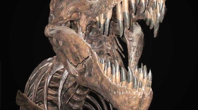 dinozaurii ucisi de vulcani