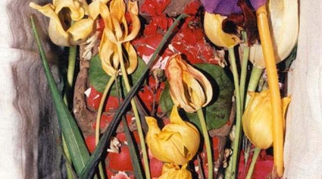 caloianul in circuit turistic