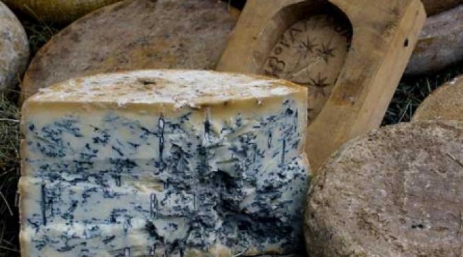 listerioza boala din branza carne si oua