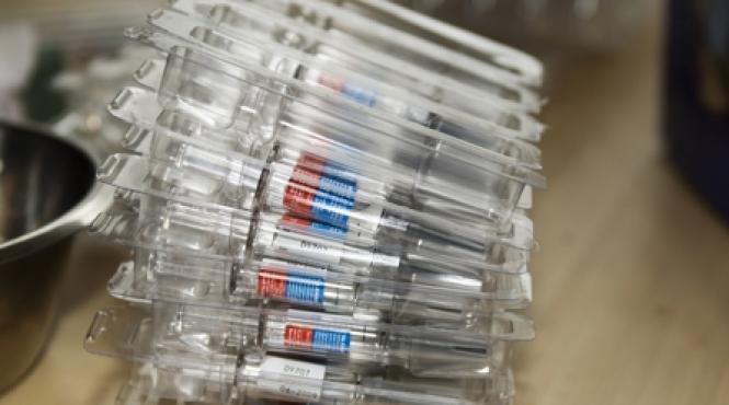 a h1n1 vedeta internationala