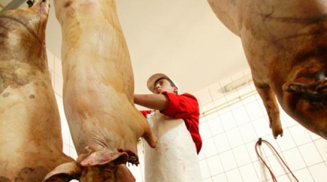 abator ultramodern in transilvania