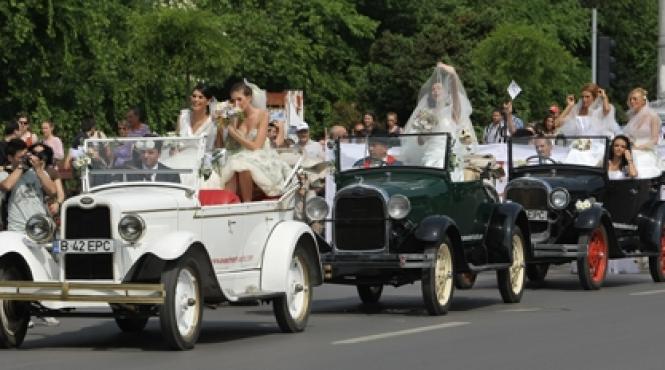 victoria mireselor in fata parlamentului
