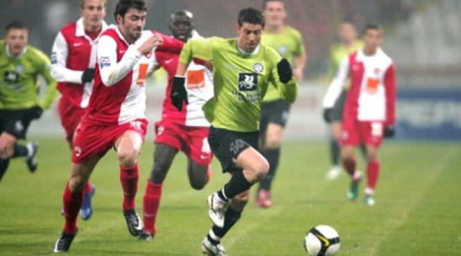 presiune mare pe caini