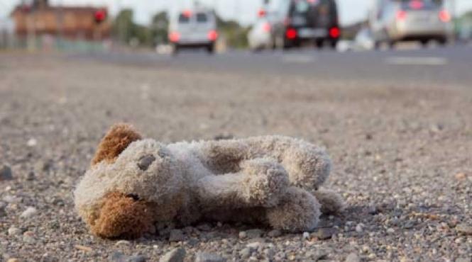 cainele mecanic care nu facea ham ham