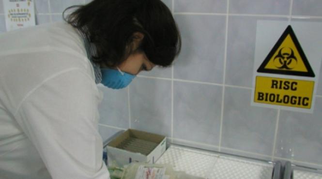 gripa porcina a sosit