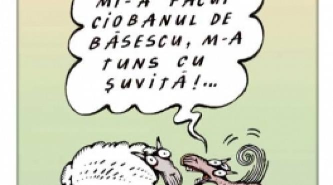 oaia animal politic sau de companie