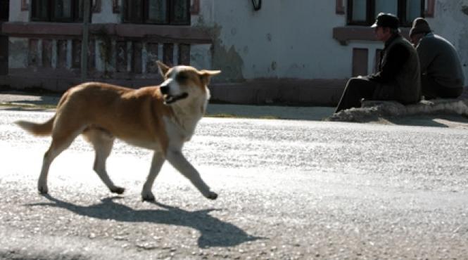 si a aprins tigara de la stalp