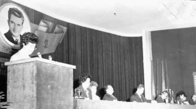 destituiri zvonuri si amoruri cu tovarasa venerica si tovarasul pasarin