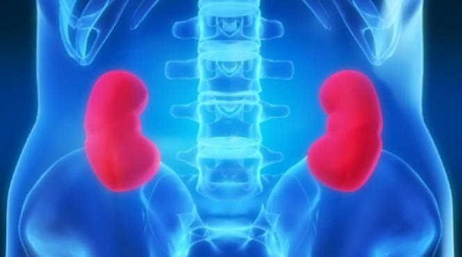 cele 100 de fete ale maladiilor renale