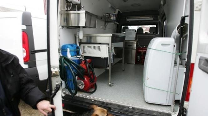 cainii nimanui sunt problema tuturor