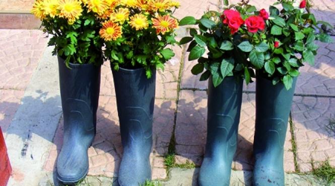 ghivece ingenioase pentru plantele voastre preferate cizmele cu flori