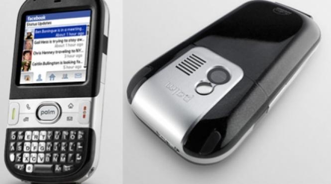 palm centro ieftin si simplu
