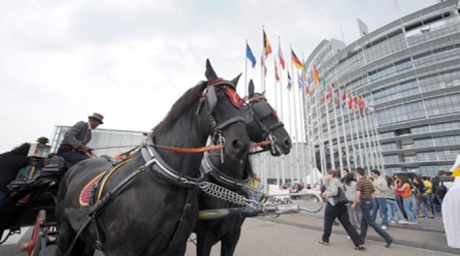 institutie gigant buget pe masura