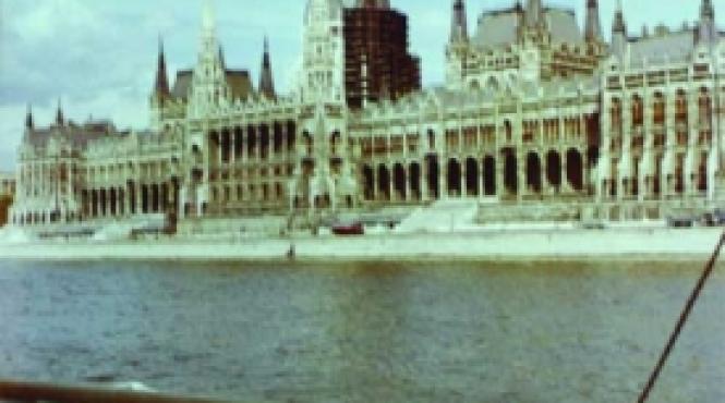 noua organizatie politica in ungaria