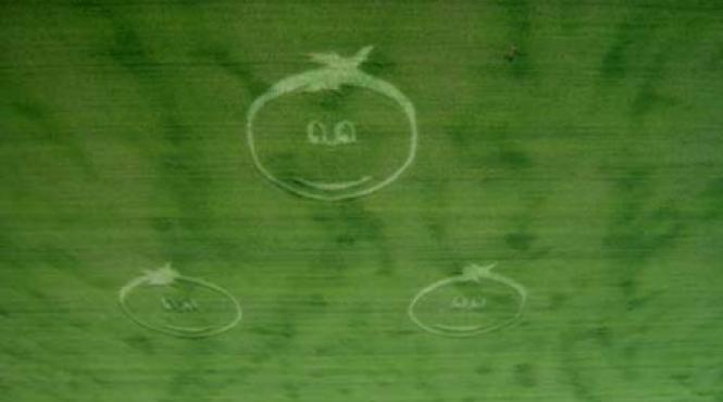 baicoi zambeste extraterestrii sunt langa tine