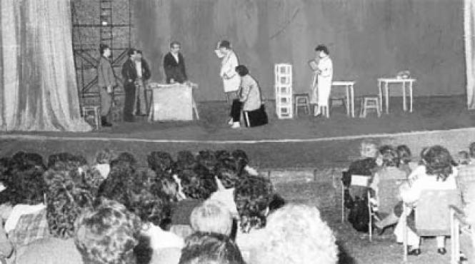 autofinantarea culturii teatrul intre matricole si ratoi de vata