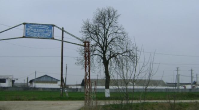 autostrada imaginara de la arad la nadlac