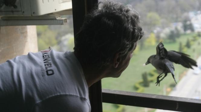 cerul inaripat este deasupra noastra