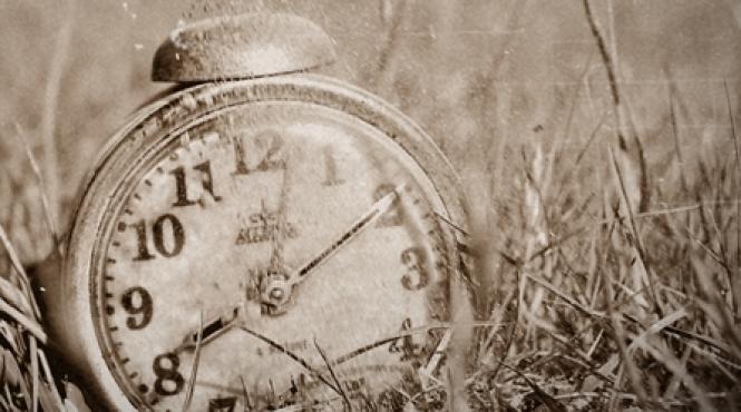 timisoara scenografii temperate