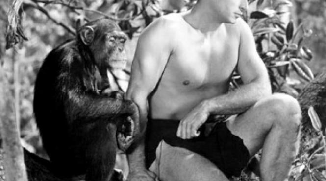 intrebari care macina tarzan un salbatic rasist sau eco razboinic