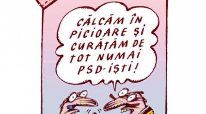 guvernarea second hand